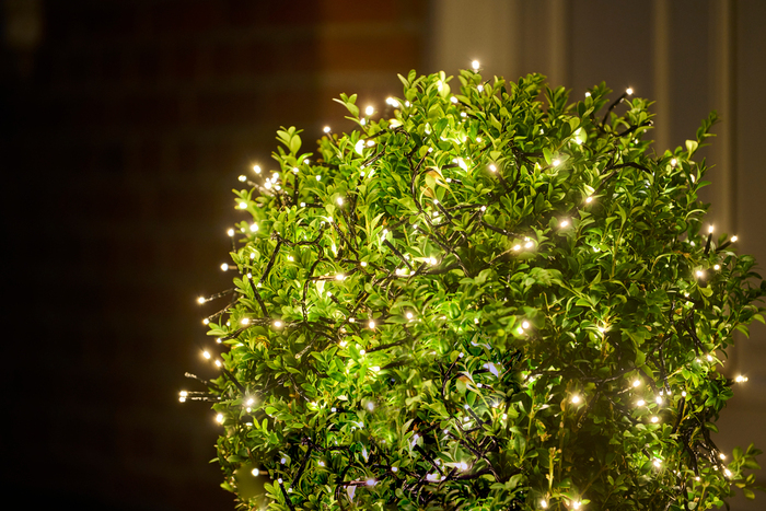 Ljusslinga Kluster 192 LED Varmvit 4 m Stemning